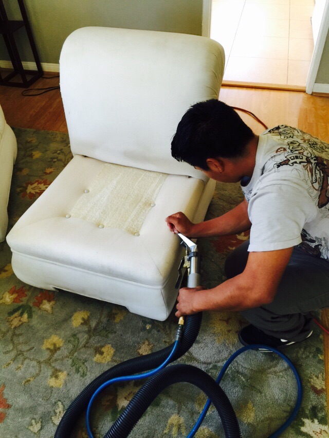 Upholstery Cleaning